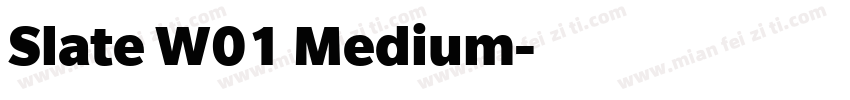 Slate W01 Medium字体转换